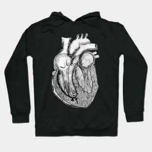 Anatomical Heart Section Pen and Ink Drawing Hoodie